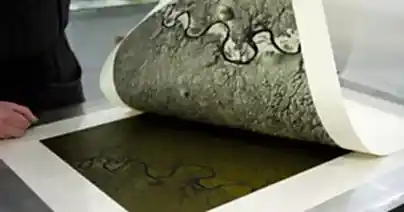 Baskı Teknikleri
