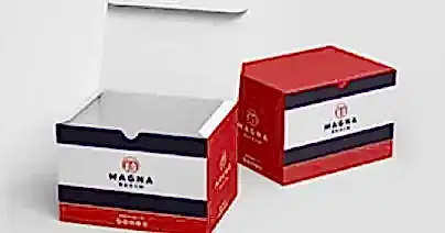 Maske Kutusu Basımı